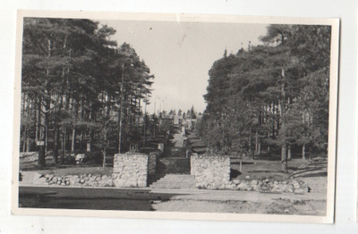 Jyväskylä harjun portaat (4)