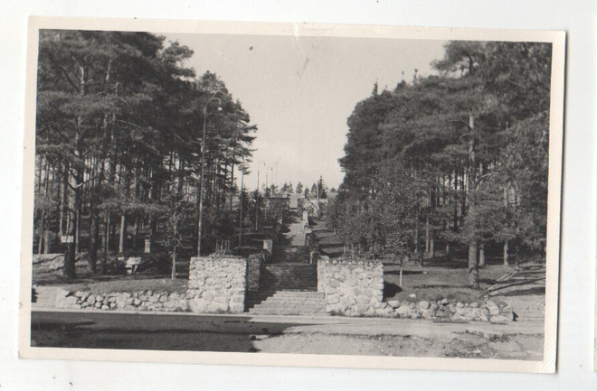 Jyväskylä harjun portaat (4)