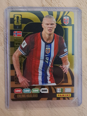 Erling Haaland Golden Baller #7