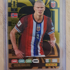 Erling Haaland Golden Baller #7 - pikkukuva 1