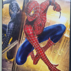 Spider-Man – Hämähäkkimies 3 DVD - pikkukuva 1