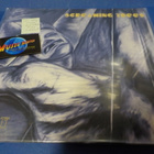 SCREAMING TREES - DUST M/M LP - pikkukuva 1