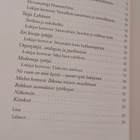 Rasavillejä ja romantikkoja -rakkaat suomalaiset tyttökirjat - pikkukuva 4