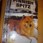 Nicholas: FINNISH SPITZ ( = Suomenpystykorva ) Sis.pk:t - pikkukuva 1