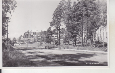 Kotka koteko 1954 kortti.