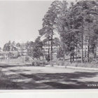 Kotka koteko   1954  kortti. - pikkukuva 1