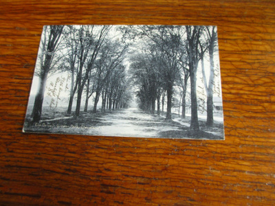 vanhakoko muva vk pk usa clev.o gordon park elm drive