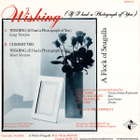 A Flock Of Seagulls - Wishing (If I Had A Photograph Of You) - pikkukuva 2