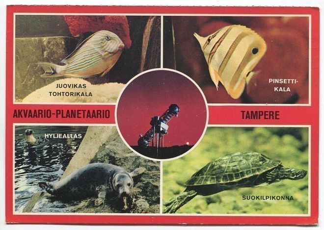 Tampere Akvaario-planetaario, kulkenut 1980