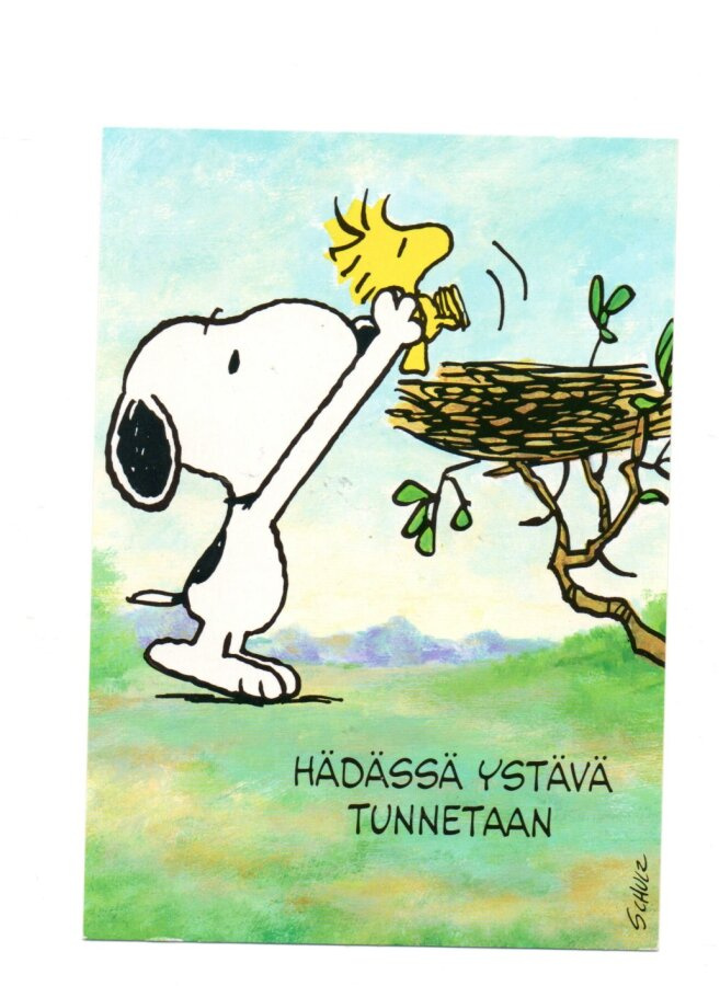 "°HÄDÄSSÄ YSTÄVÄ TUNNETAAN°" -KORTTI / (Tenavat)