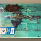 MÖTLEY CRÜE : Dr. feelgood - LP, Walmart exclusive, LTD,uusi - pikkukuva 4