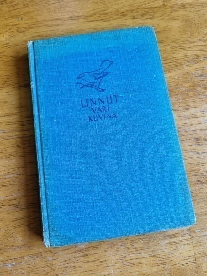Linnut värikuvina v.-53
