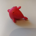 Littles Petshop kala - pikkukuva 4