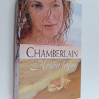 Diane Chamberlain : Kesän lapsi - pikkukuva 1