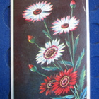 Kukkakortti 1940-luvulta. B.Uttuslien - pikkukuva 1