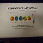 Toim. Lang ym. :  Sähköiset aivomme ( 1 p. 1994 ) SIS.PK! - pikkukuva 2