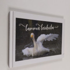 Oili Suutarinen : Lammen loiskeita - pikkukuva 1
