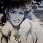 SHEILA E. :: IN THE GLAMOROUS LIFE :: VINYYLI  LP   1984  !! - pikkukuva 2