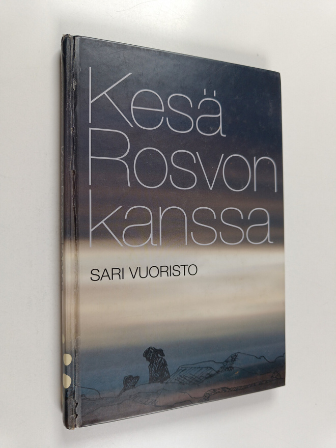 Sari Vuoristo : Kesä Rosvon kanssa