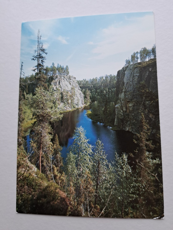 Kuusamo, jokiuoma, uusi korti