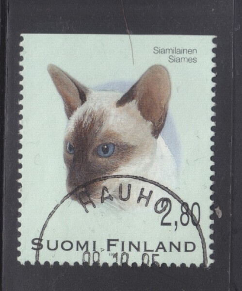 1995 Kissavihosta LLO leimainen. (3)