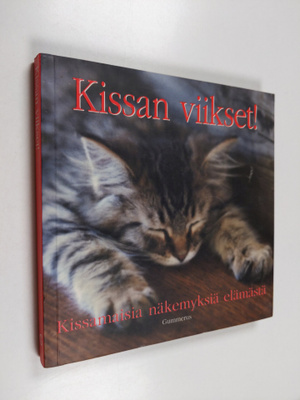 Kissan viikset! Kissamaisia näkemyksiä elämästä