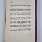 Vladimir Nabokov : Nikolai Gogol - pikkukuva 2