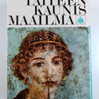 Taiteen kaunis maailma (kotelossa) - pikkukuva 2