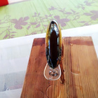 Abu Garcia Tormentor Floating 7cm räminäkuulilla - pikkukuva 3