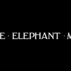 ELEFANTTIMIES dvd 1980 David Lynch - pikkukuva 4