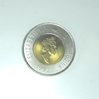 1999 KANADA Millennium kolikkosarja - pikkukuva 4