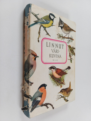 Paavo Voipio : Linnut värikuvina