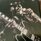 OTIS RUSH With Break Down - Live In Japan 1986 - pikkukuva 2