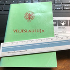 Veljeslauluja - pikkukuva 1