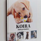 Nina Mäki-Kihniä : Koira : hoito ja koulutus - pikkukuva 1