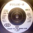 RAGE :: HOUSE OF THE RISING SUN :: VINYYLI 7" 1993 - pikkukuva 2