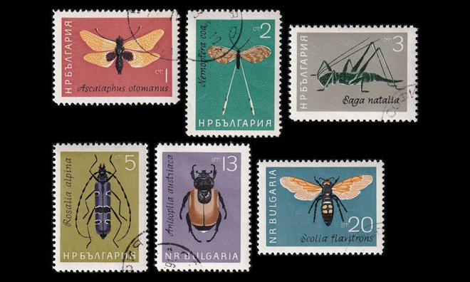 Bulgaria 1446-51 o Hyönteiset (1964)
