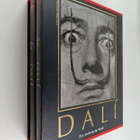 Salvador Dali ym. : Dali : Das Malerische Werk : 1904-198... - pikkukuva 1