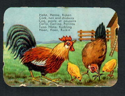 ALE - EAS 3112 - Nelkku - Kukko, kana, tipu - 1950-luvulta!