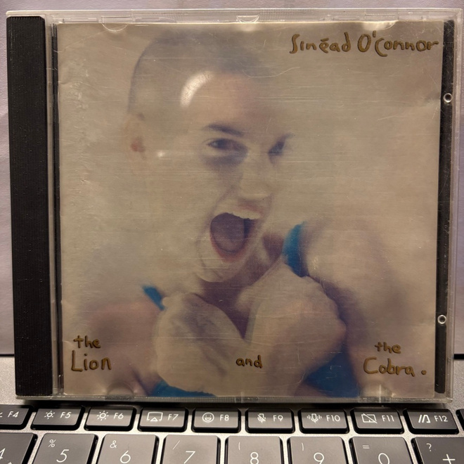 SINÉAD O’CONNOR - The Lion And The Cobra cd (original)