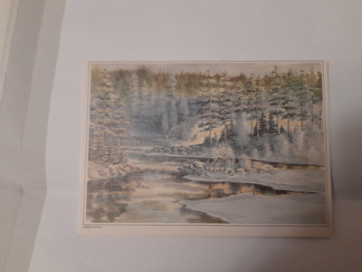 Pälikkö: Aarnimetsän aamu