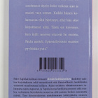 Päivi Tapola : Kesän kohtaaminen - Romaani - pikkukuva 2