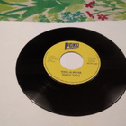 PENTTI JONES -  Kissa ja myyrä / Sorsat - 7" - pikkukuva 2