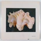 Robert Tucker Abbott ym. : The Shell - pikkukuva 2