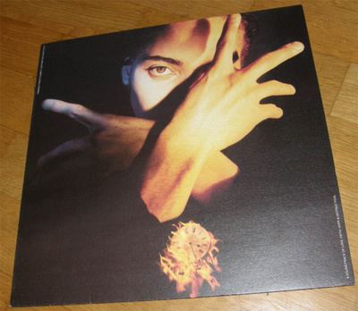 Terence Trent D'arby - Neither fish nor flesh - LP