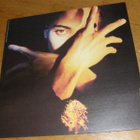 Terence Trent D'arby - Neither fish nor flesh - LP - pikkukuva 1