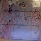 CURIOSITY KILLED THE CAT :: NAME & NUMBER :: VINYYLI 7"1989 - pikkukuva 2