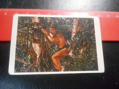 K.6 Jenkki Tarzan purkkakuva # 53