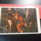 K.6 Jenkki Tarzan purkkakuva # 53 - pikkukuva 1