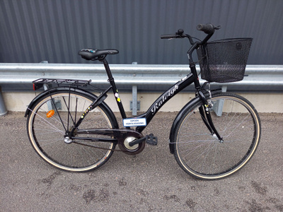 [T3209] Raleigh Donna